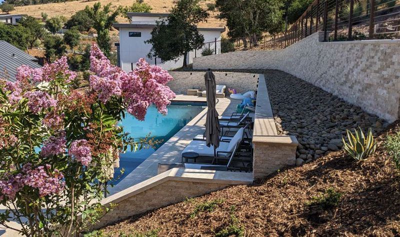 Pool area with lounge chairs, umbrella, and a flowering tree.
