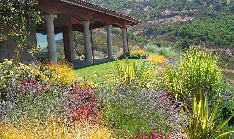 A hillside garden with diverse, colorful plants in front of a house with stone columns and a view of rolling hills.