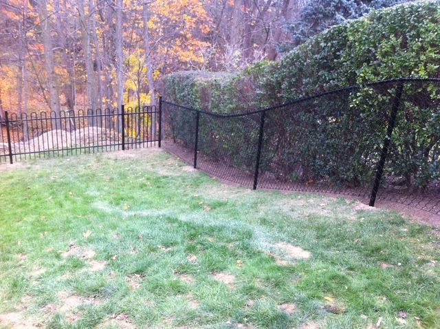 A black metal fence surrounds a lush green lawn.