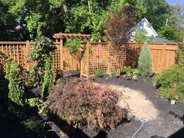 A wooden fence surrounds a backyard filled with lots of plants and trees.