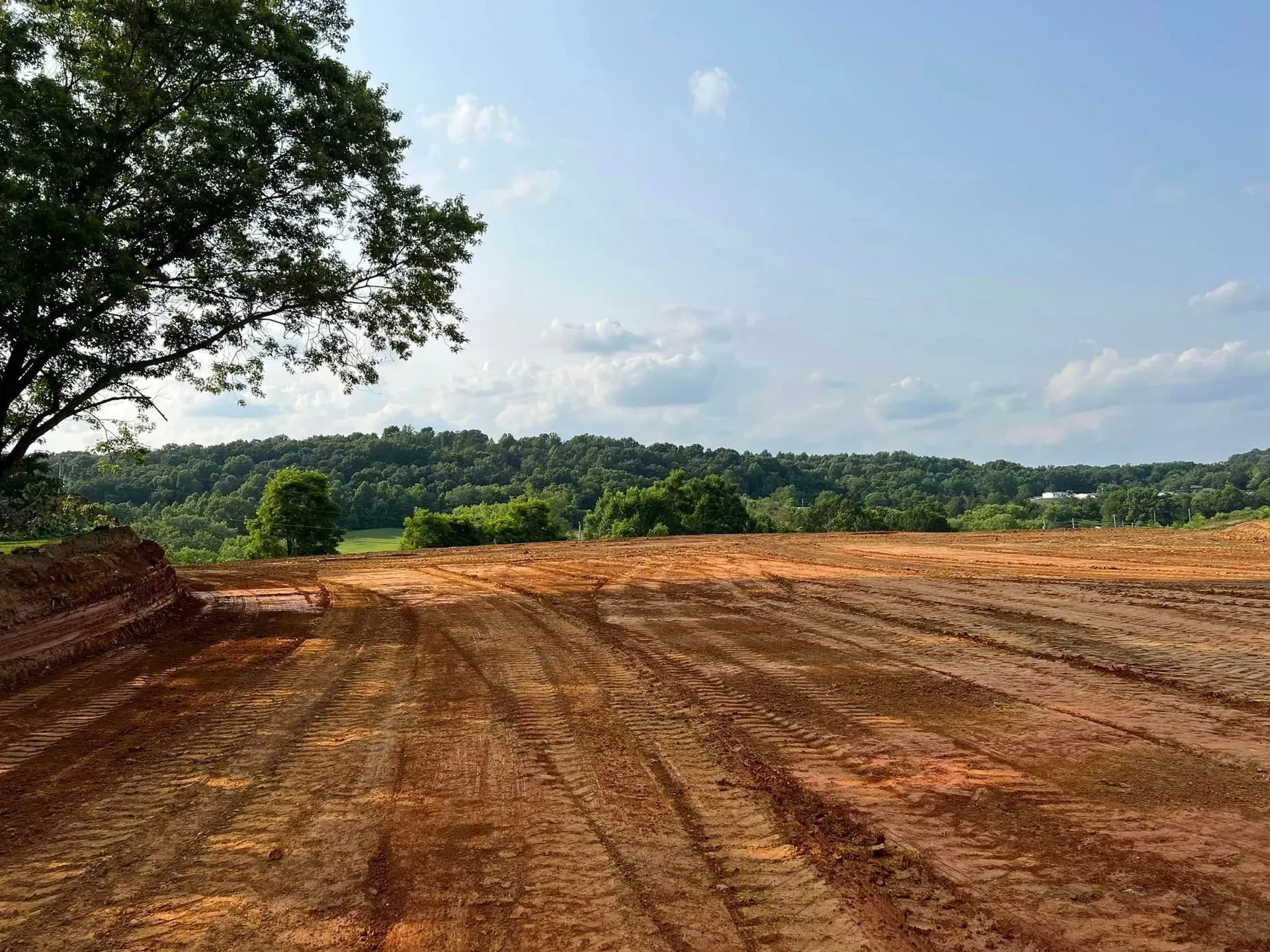 A large dirt field with a tree in the foreground and a mountain in the background.