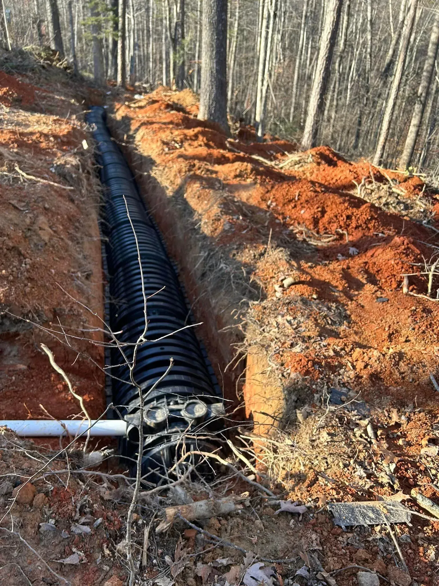 A large pipe is being installed in the dirt in the woods.