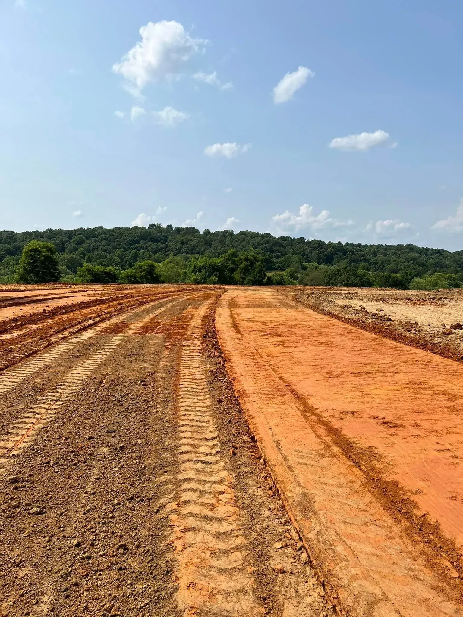 A dirt road going through a field with trees in the background.