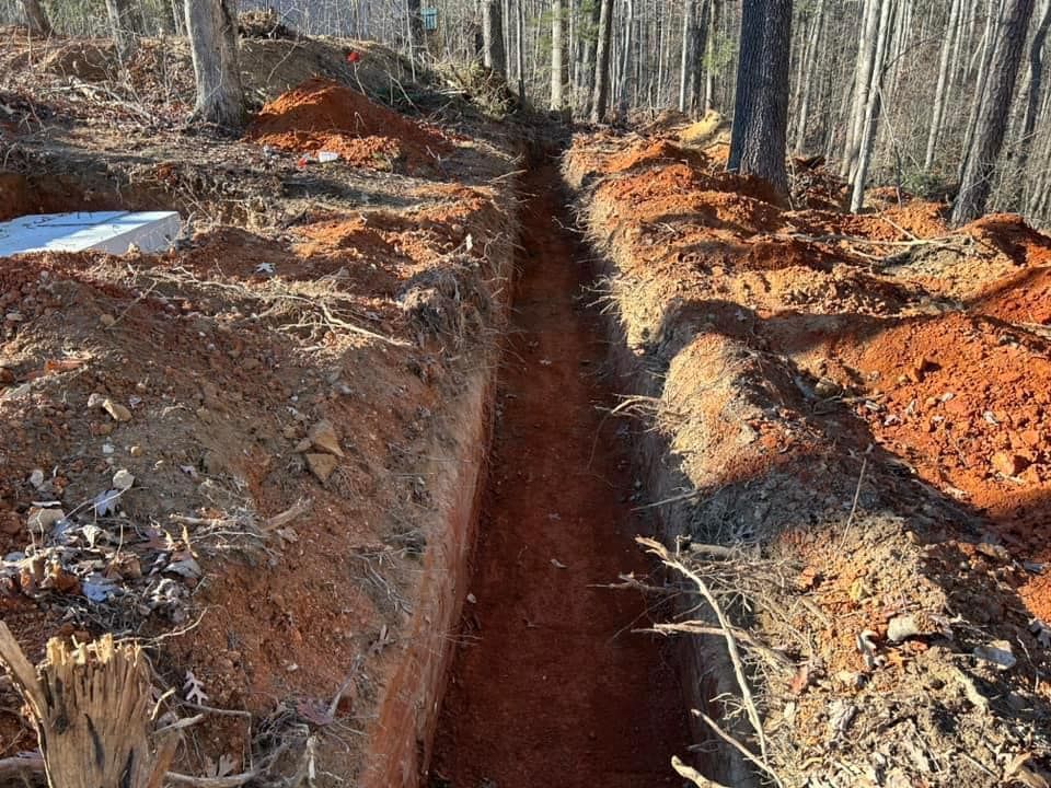 A trench in the middle of a forest with trees in the background.
