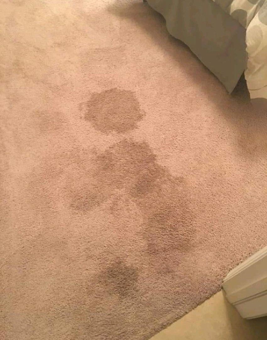 A close up of a carpet with stains on it in a bedroom.