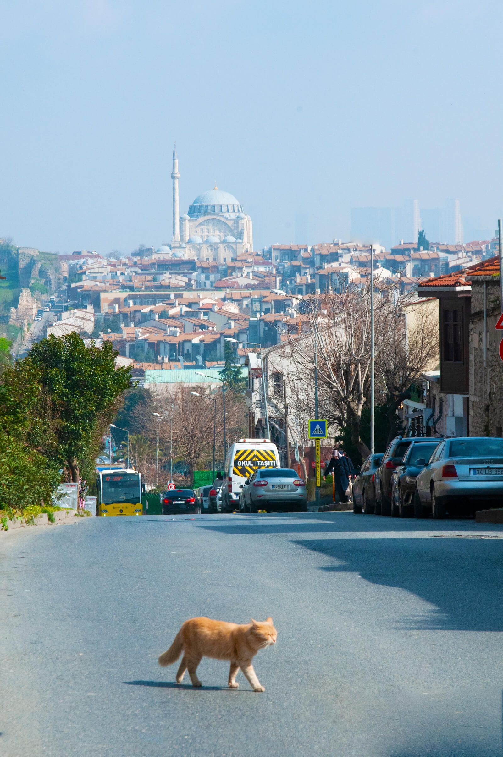 Istanbul Efes Hotel