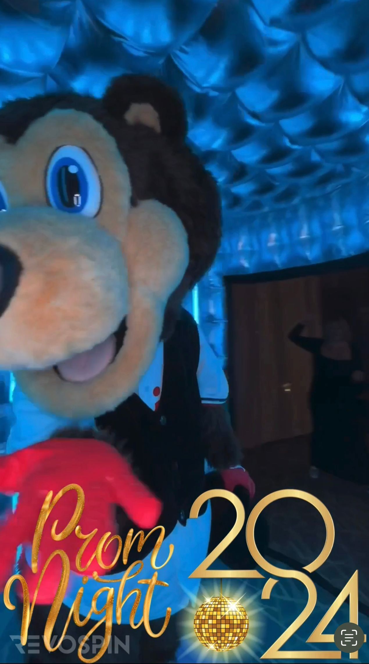 A mascot capturing itself a picture.