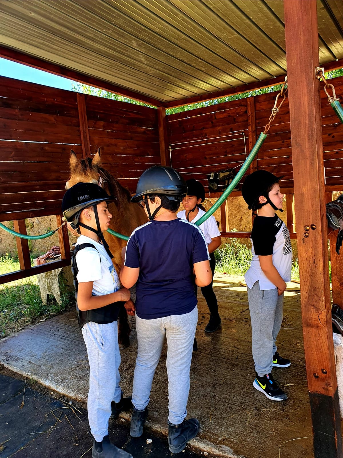 estate ragazzi in scuderia