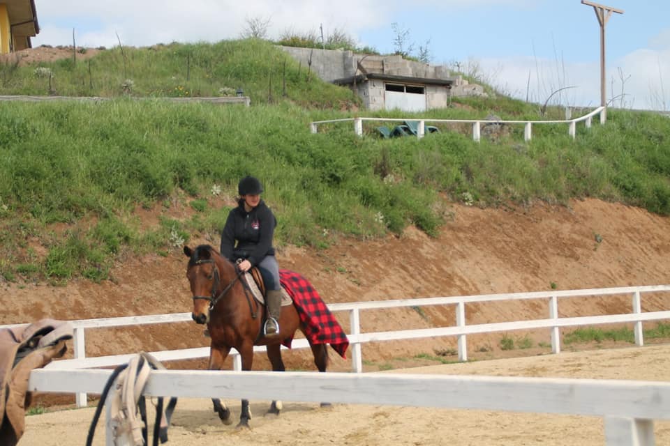 salto all'ostacolo a cavallo