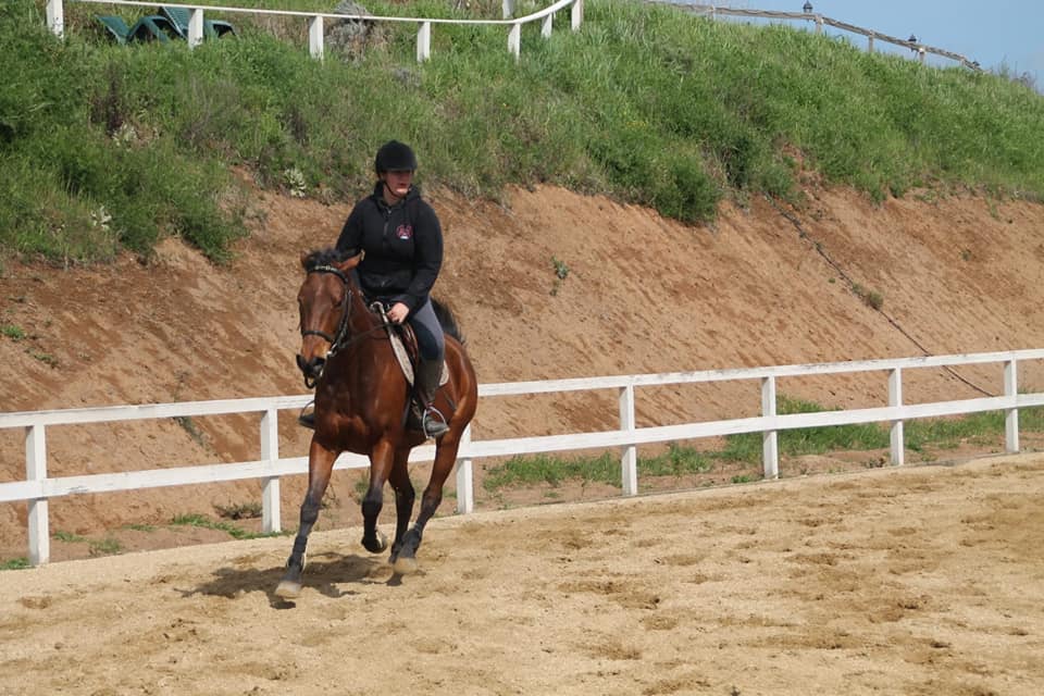 Allenamento con salto all'ostacolo a cavallo