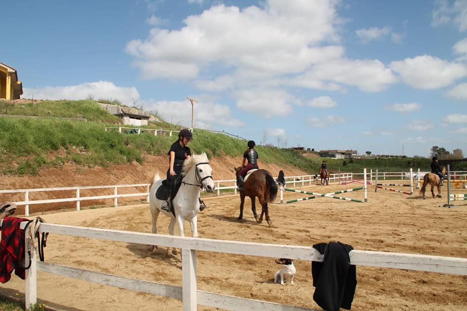 Lezione di equitazione con salto all'ostacolo a cavallo