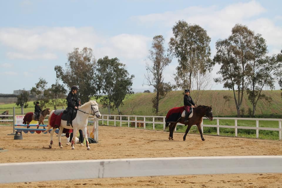 Lezione di equitazione di gruppo