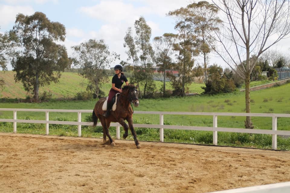 Lezione di equitazione singola