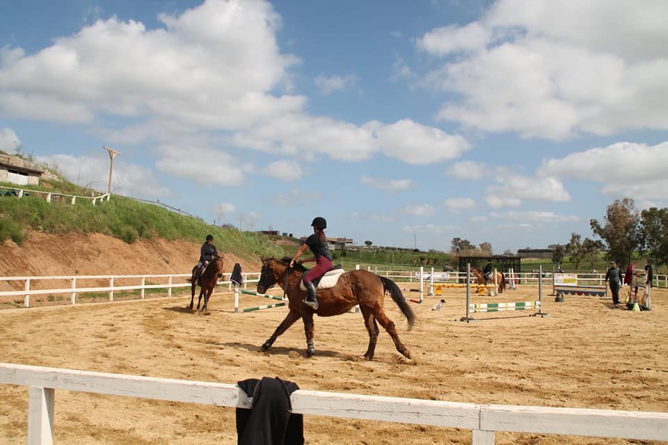 cavalli e fantini nel maneggio