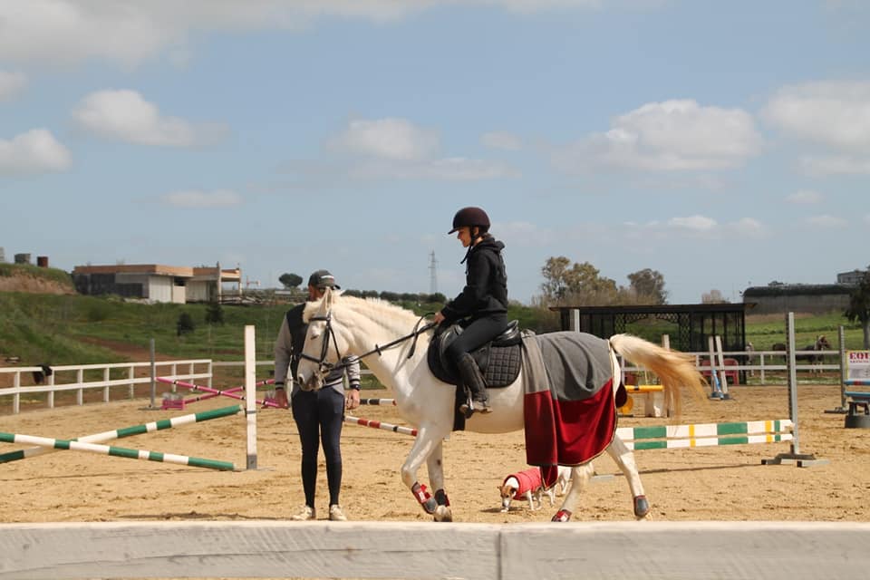 Addestramento sportivo a cavallo