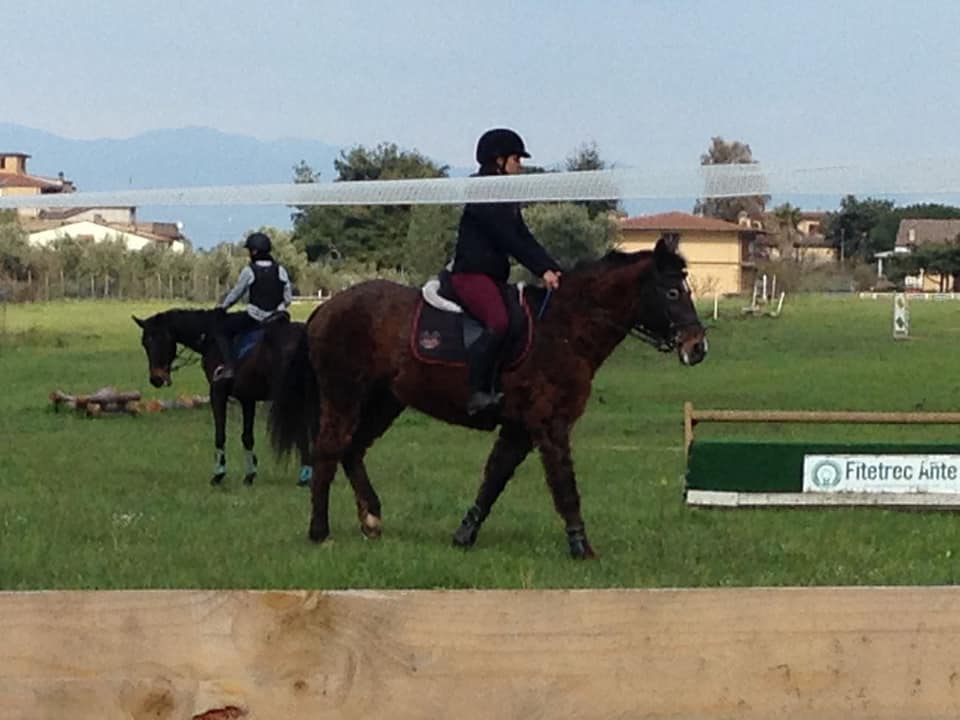 cavalli e fantini durante lezione di equitazione