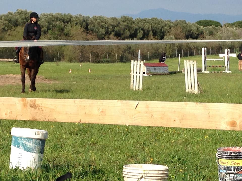 Corso di equitazione con salto all'ostacolo