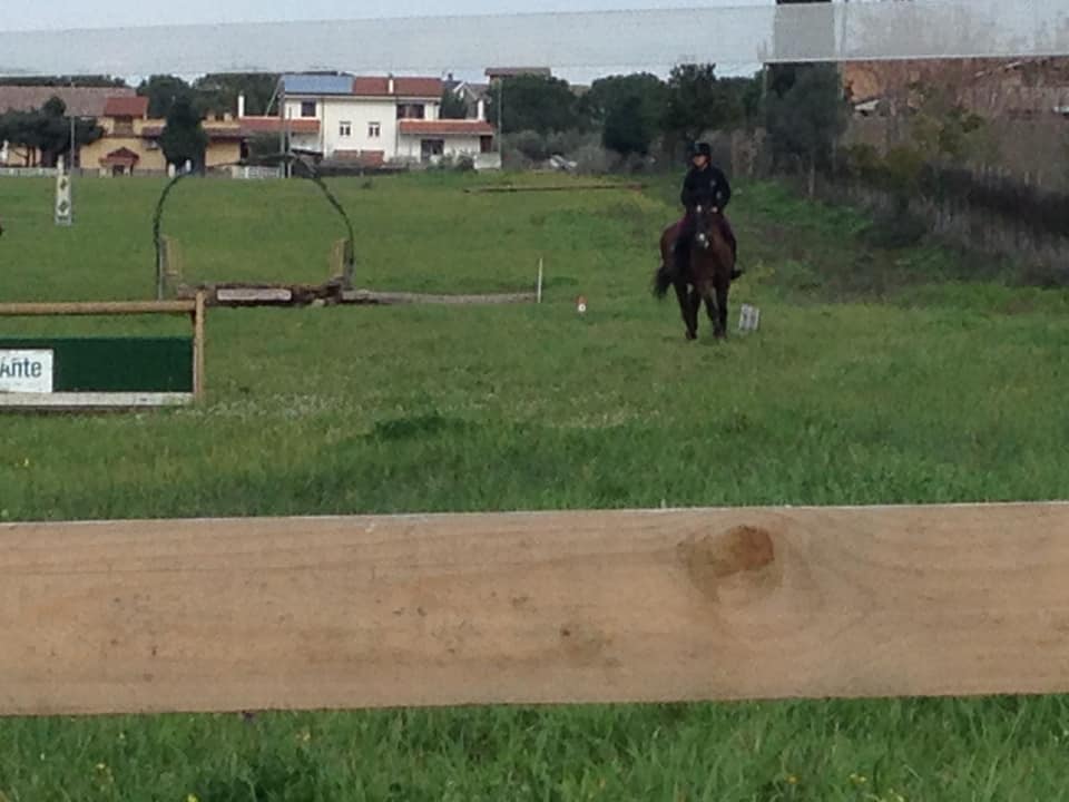salto all'ostacolo durante lezione di equitazione