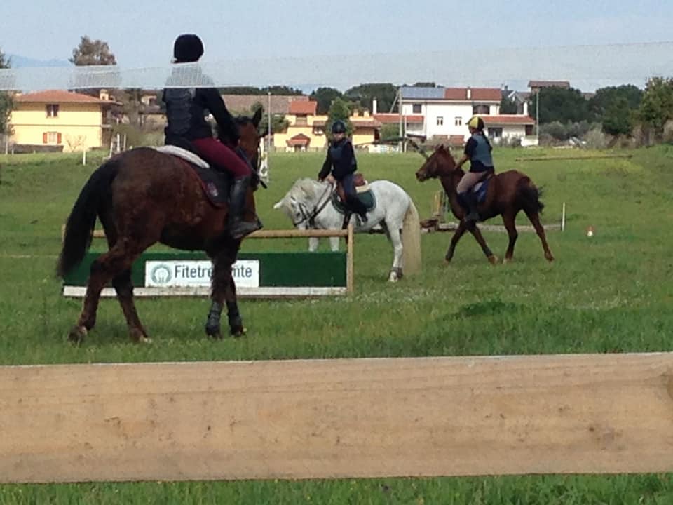 gara di salto all'ostacolo a cavallo