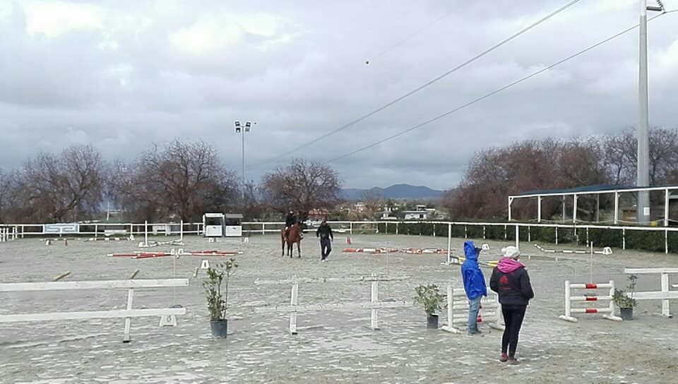 Percorso ad ostacoli per cavalli