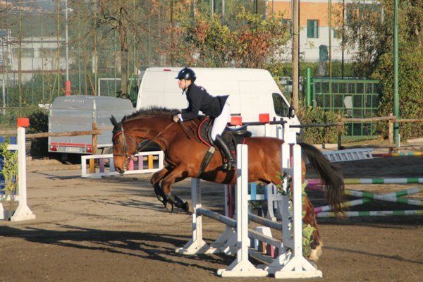 Corsi di equitazione per bambini