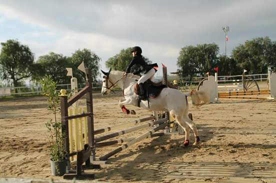 Corsa ad ostacoli a cavallo