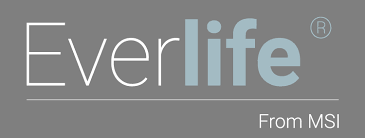MSI Everlife logo
