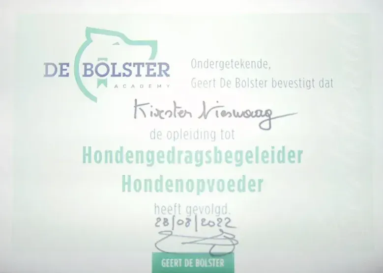 Een Bolster certificaat