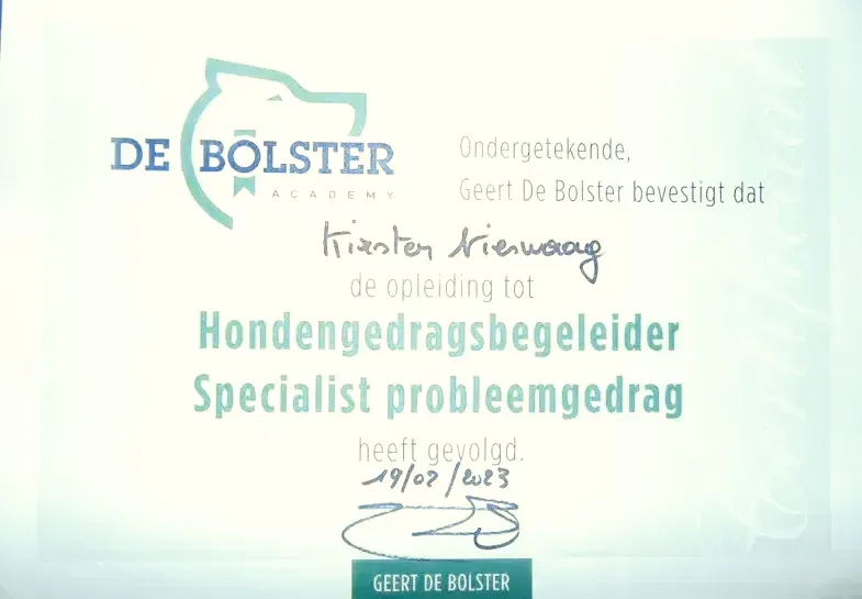 Een Bolster certificaat