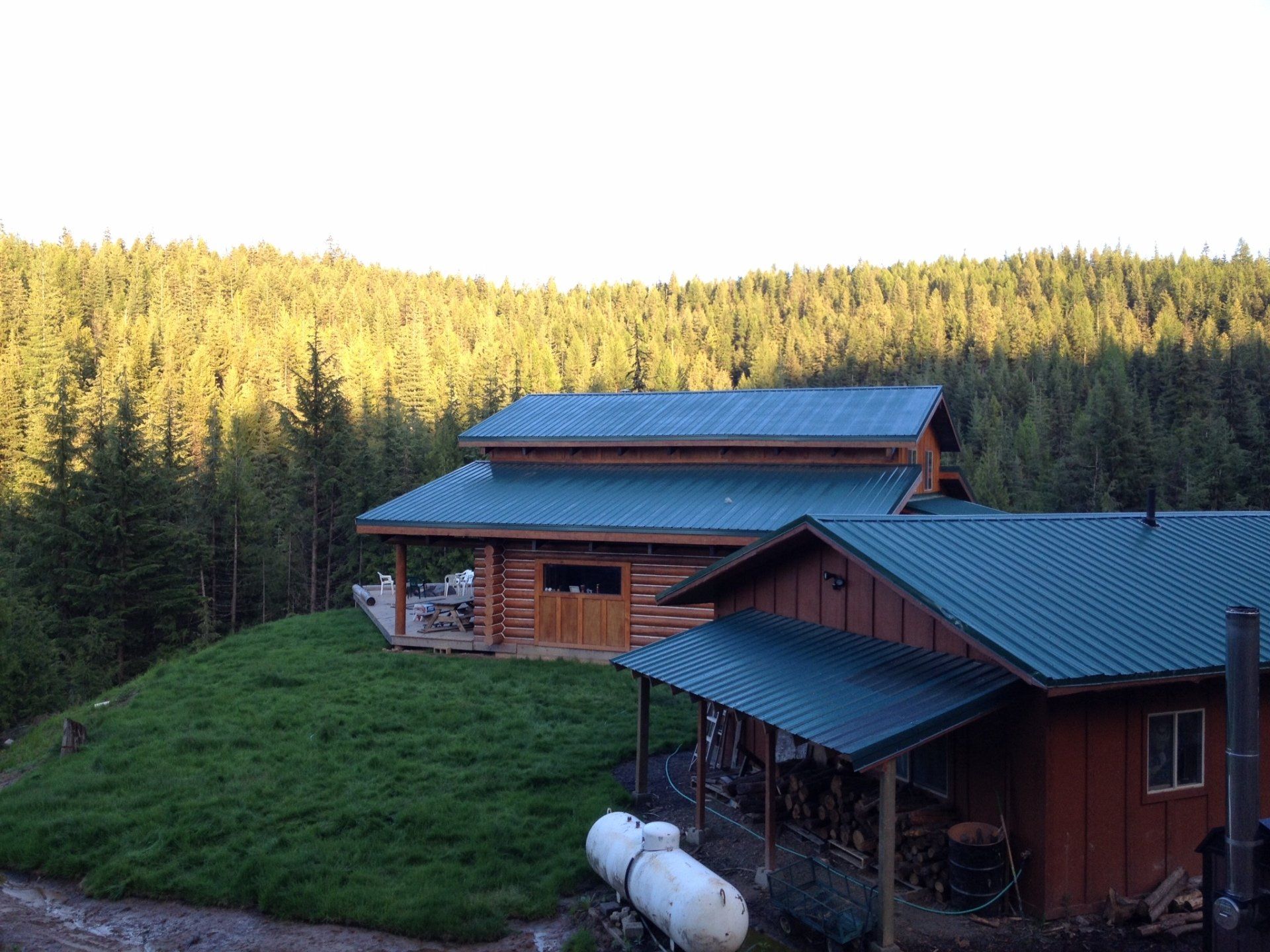 Log cabin with green roof, nestled on a grassy hill, with a backdrop of evergreen forest under a bright sky.