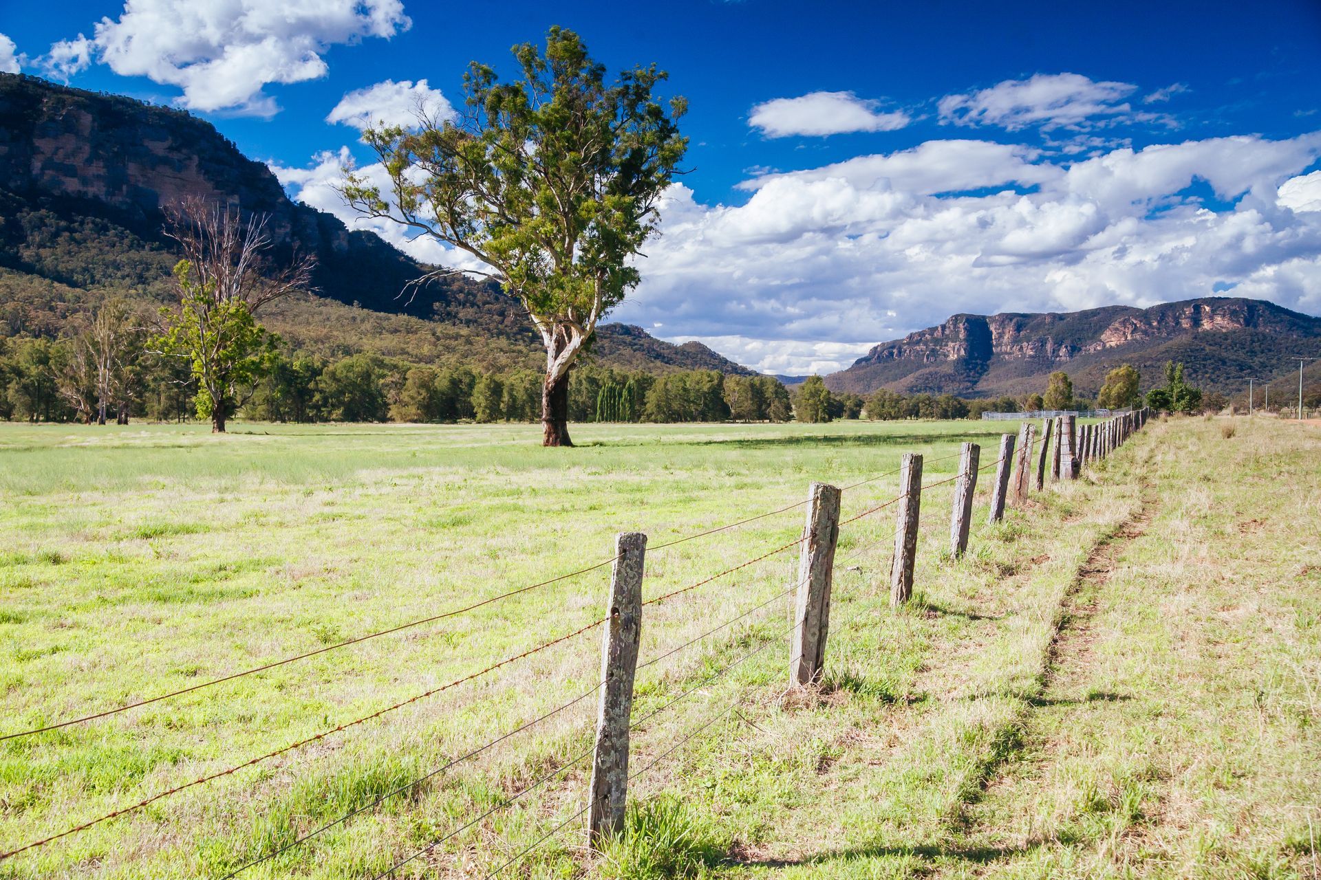 Grassy field with a wooden fence, lone tree, and mountains under a blue sky with clouds. — Neave Electrical in Pacific Palms, NSW