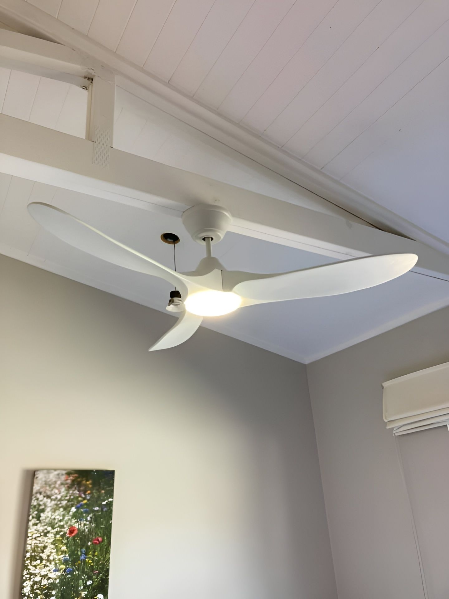 A White Ceiling Fan With Three Curved Blades and Integrated Light — Neave Electrical in Tuncurry, NSW