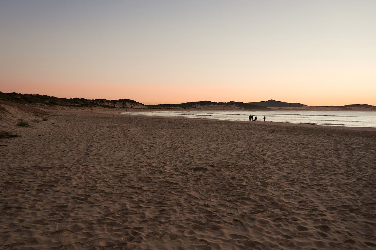 Beach at dusk, sand in foreground, figures by the water, buildings on the horizon, sky coloured with pink and orange. — Neave Electrical in Pacific Palms, NSW