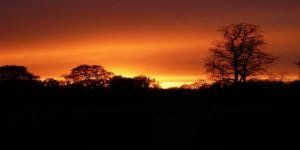 Sunset over a silhouetted treeline; warm orange and red sky.
