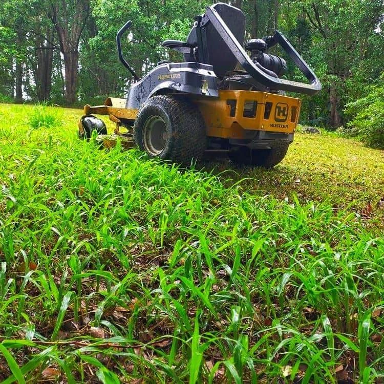 A Yellow And Black Lawn Mower Is Cutting A Lush Green Field — Cairns Mower City In Parramatta Park, QLD