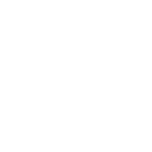 Asian Ethnic Artifacts logo