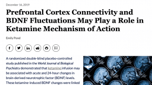 A newspaper article about prefrontal cortex connectivity and bdnf fluctuations