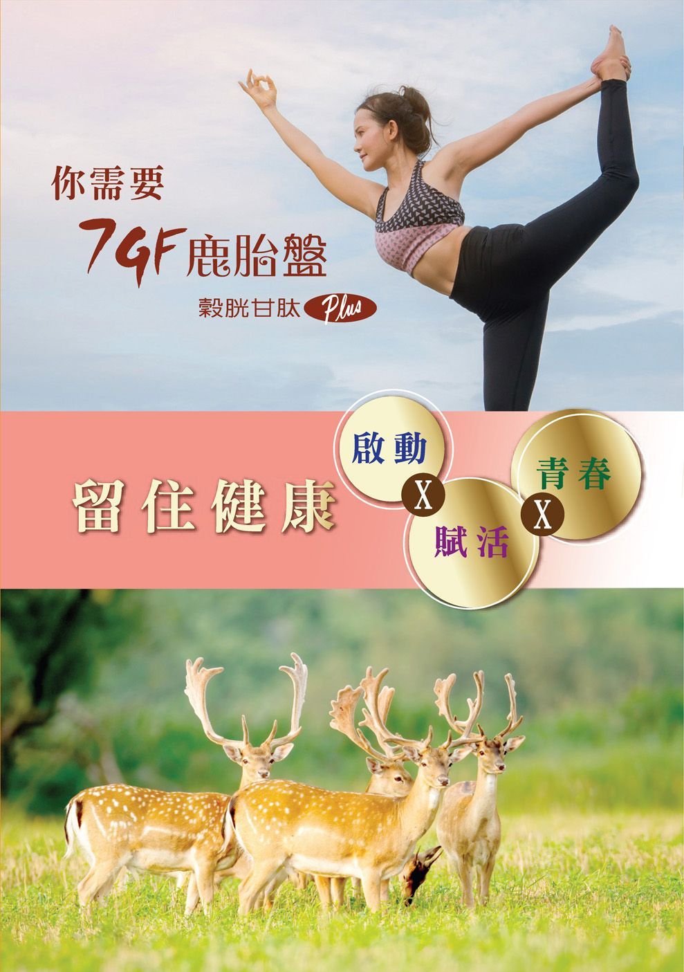 7GF鹿胎盤-康成志業保健食品DM02
