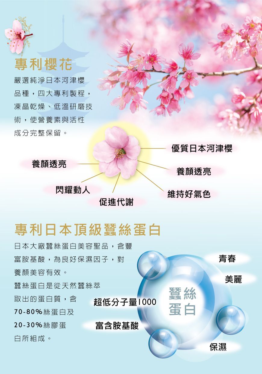 金絲燕窩膠原蛋白-櫻花版｜康成志業保健食品DM07