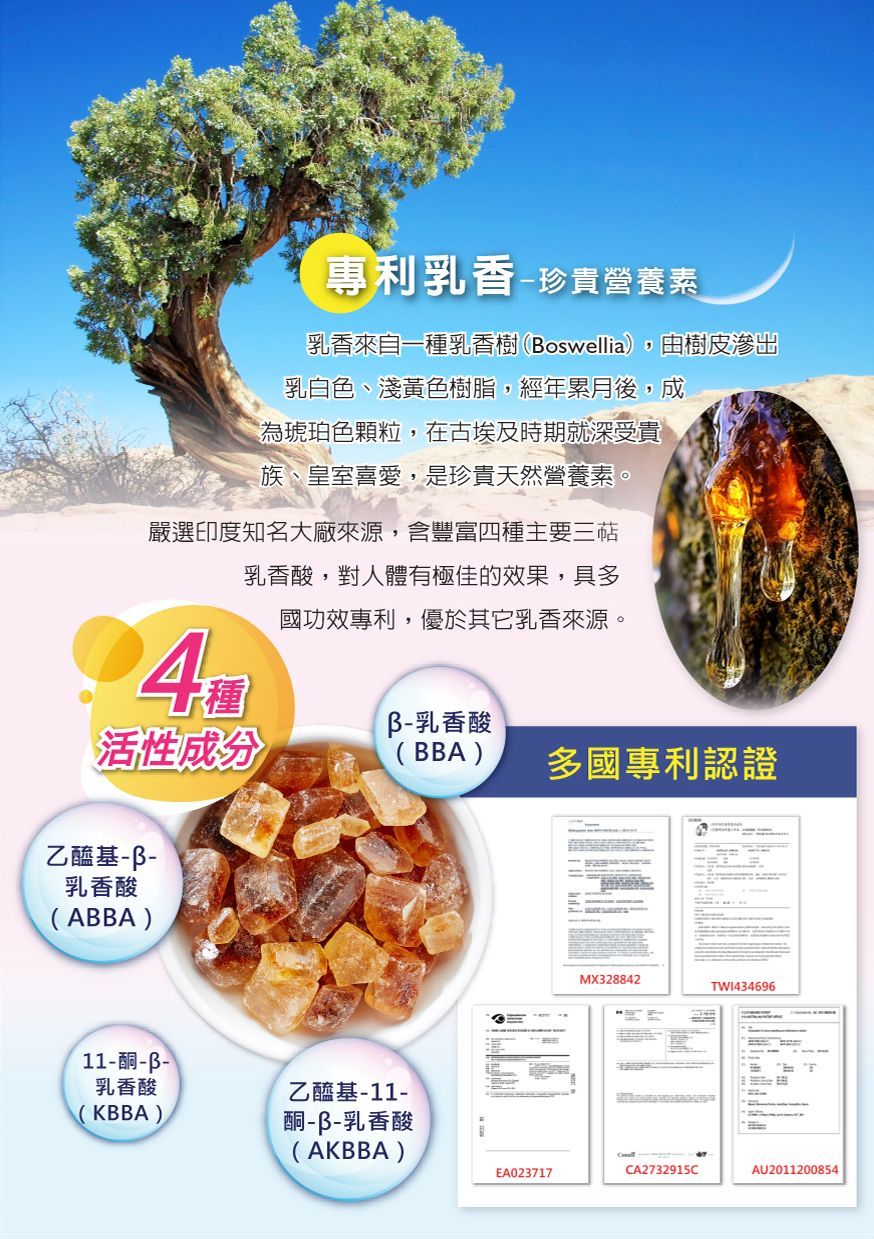 顧金固升級版DM04-康成志業保健食品
