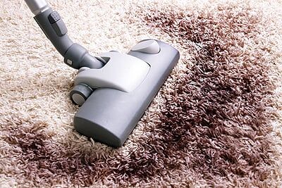 vacuuming a carpet