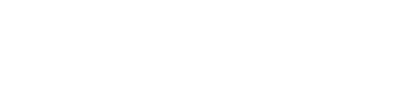 The text