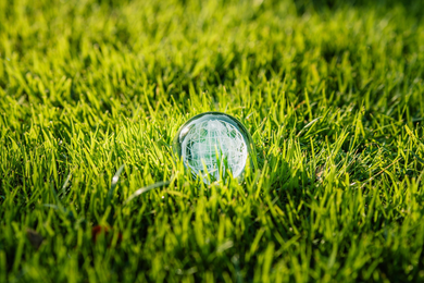 Clear glass marble on green grass in sunlight