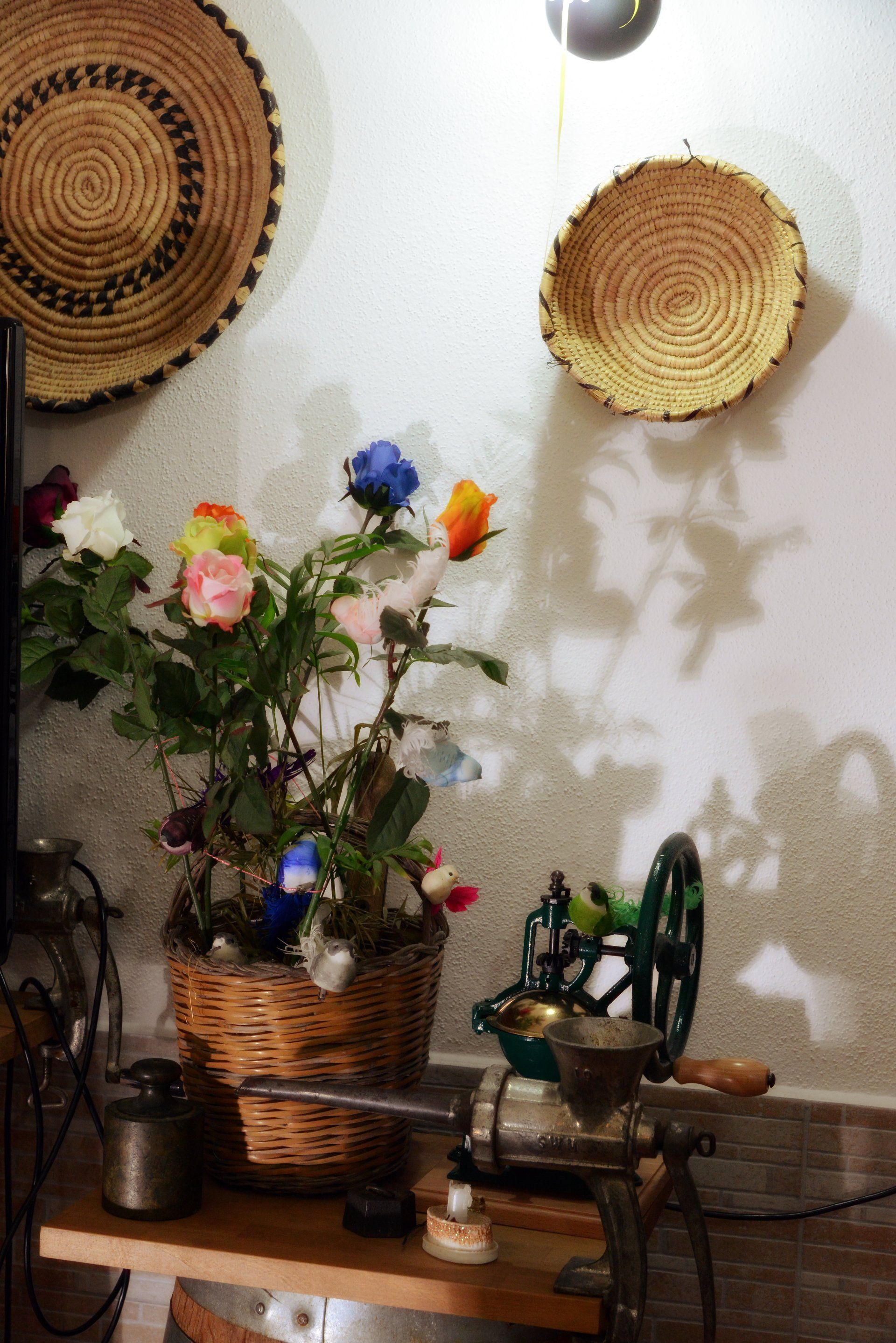 bed and breakfast Olbia