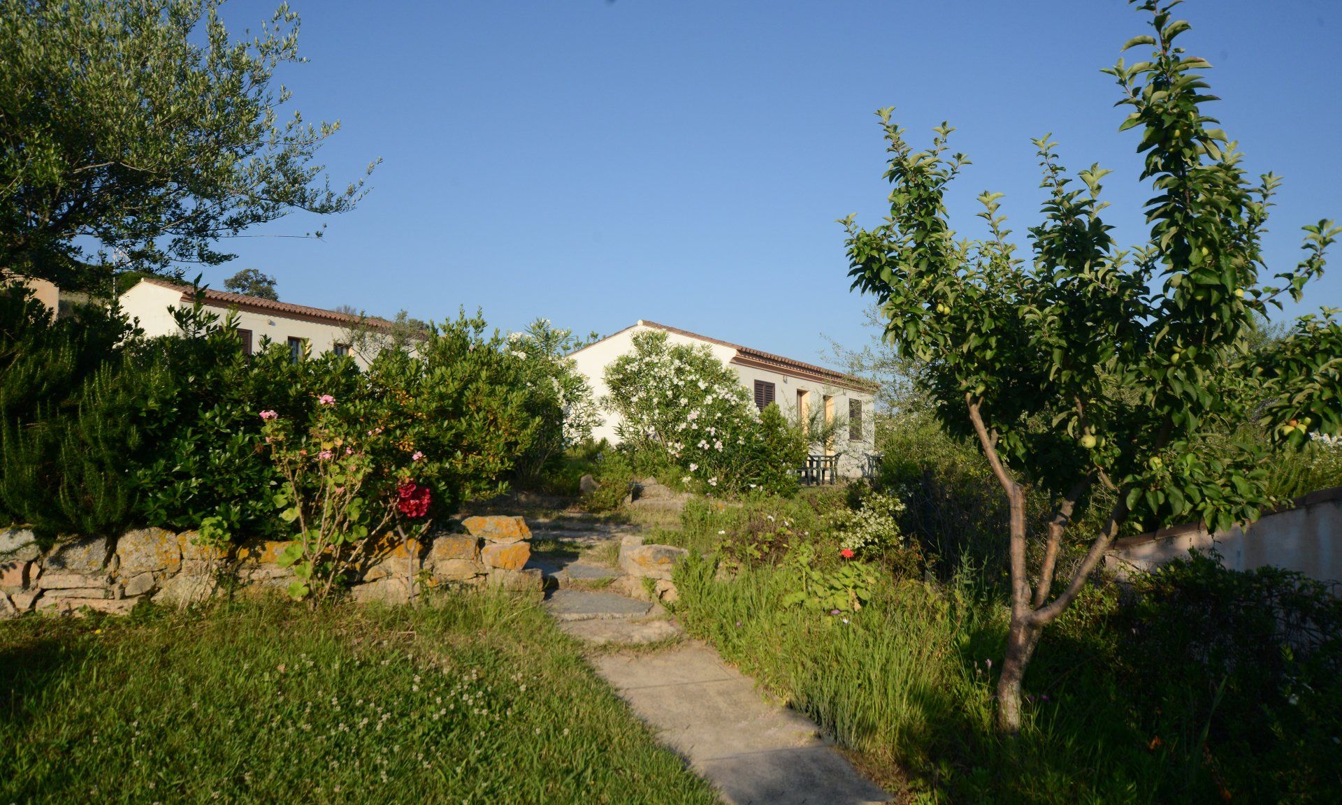 bed and breakfast Olbia