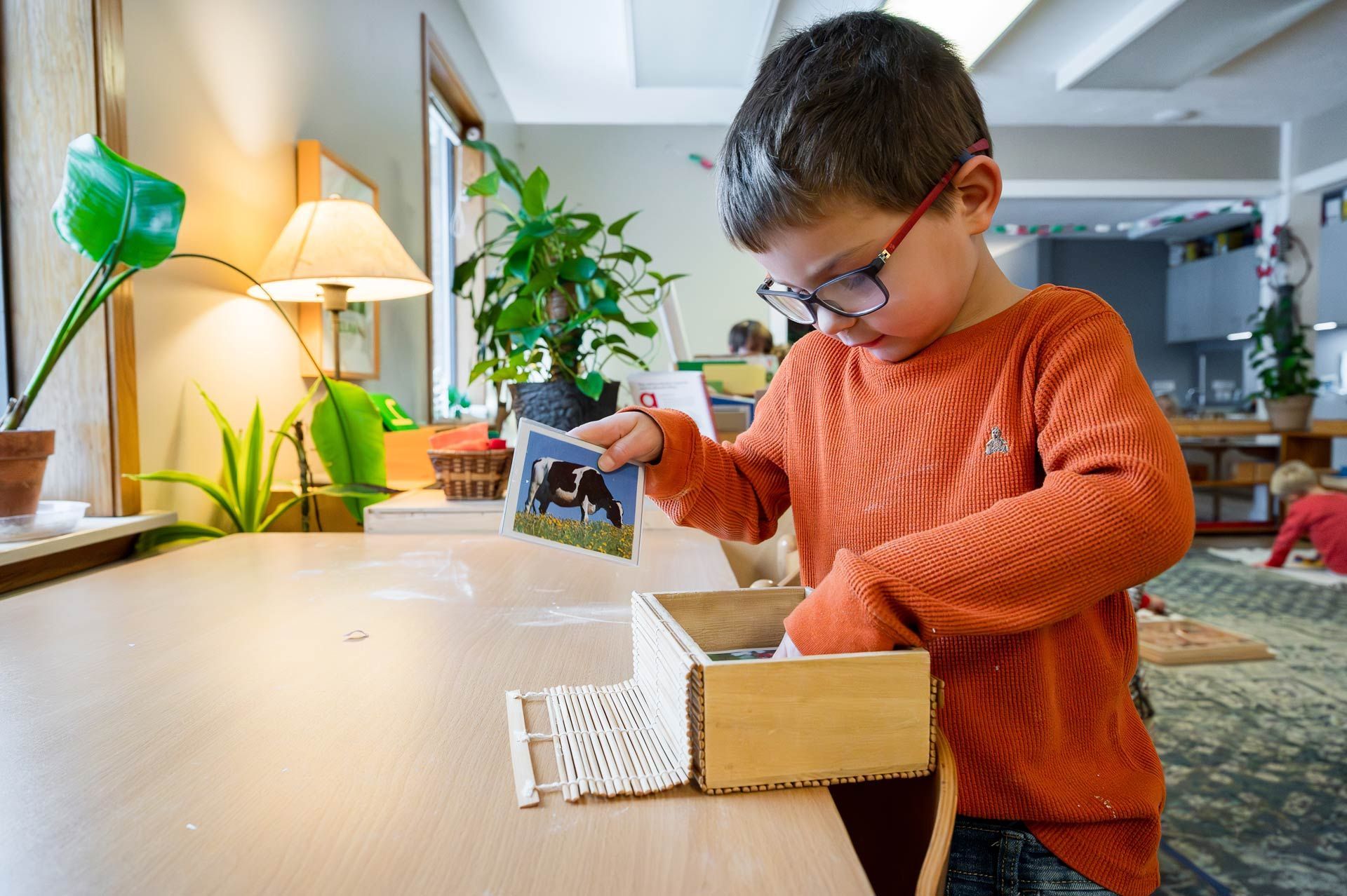 montessori child exploring animal cards in classroom setting
