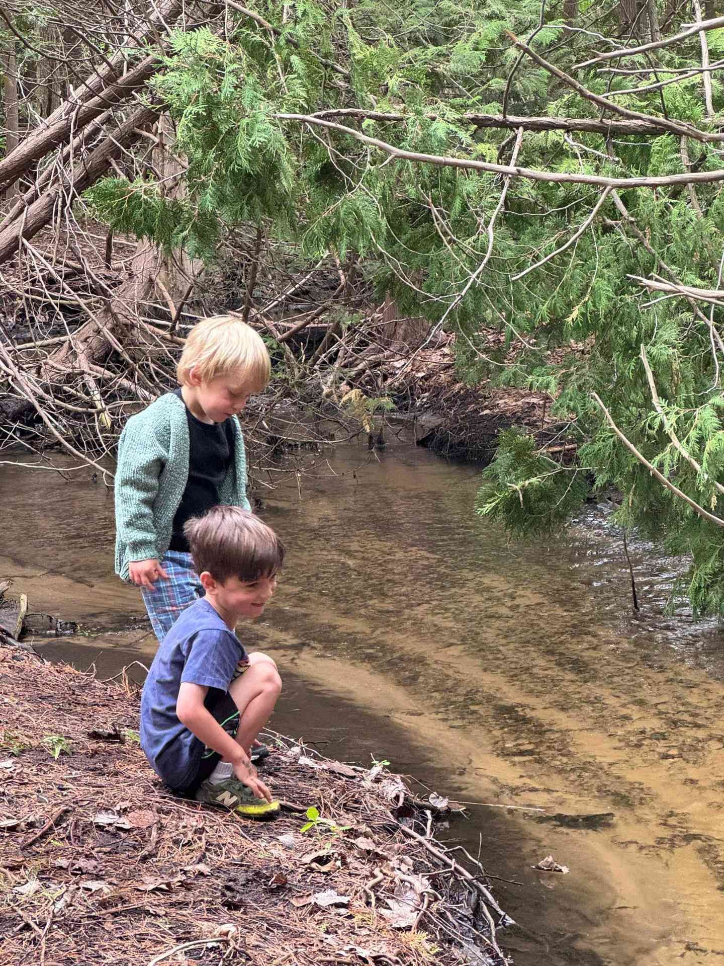 montessori children exploring stream in forest setting