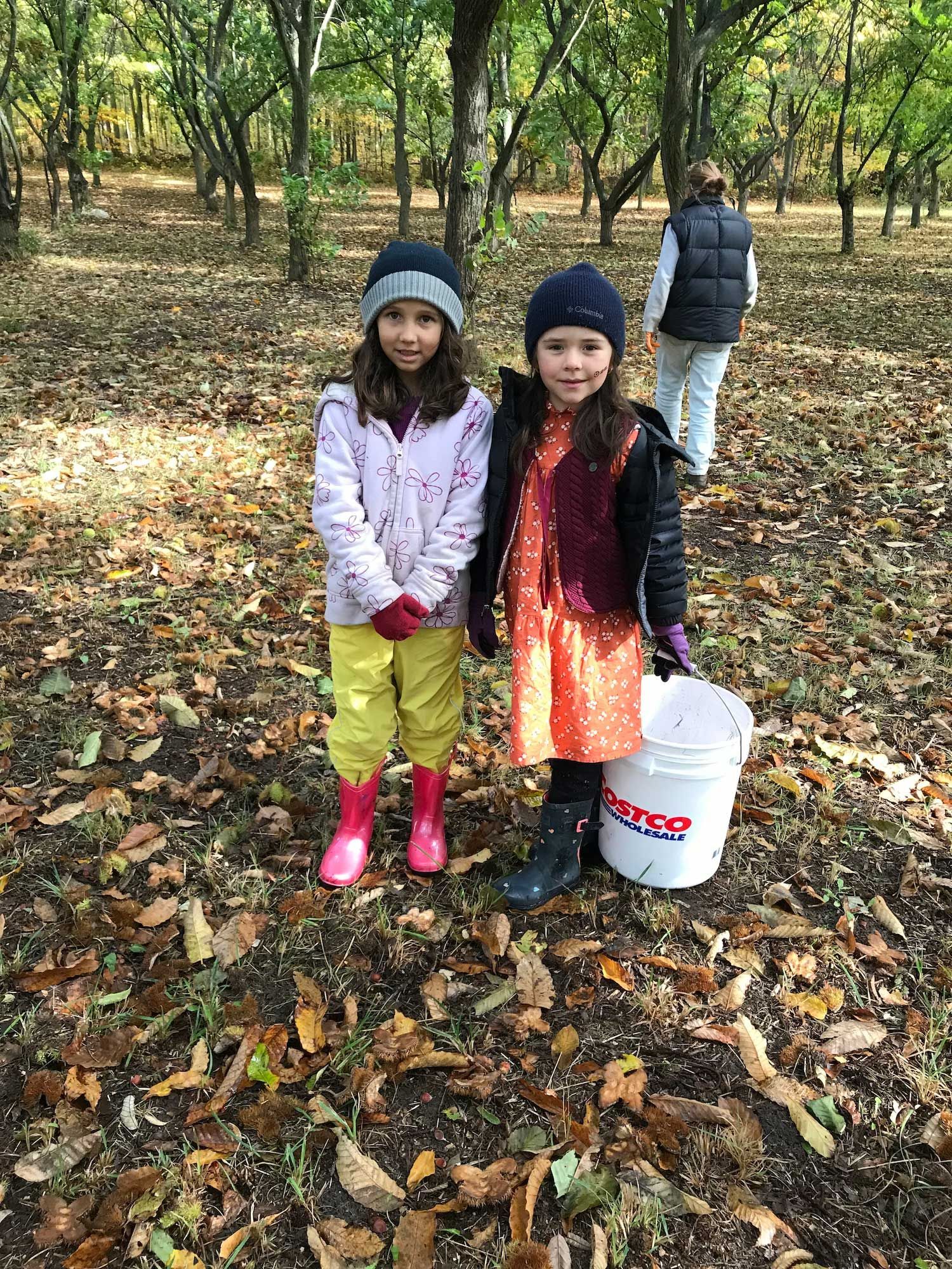 two montessori children in warm clothing standing on leaf covered ground with white bucket autumn forest setting