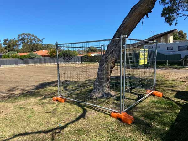 A fence is surrounding a tree in a grassy area.