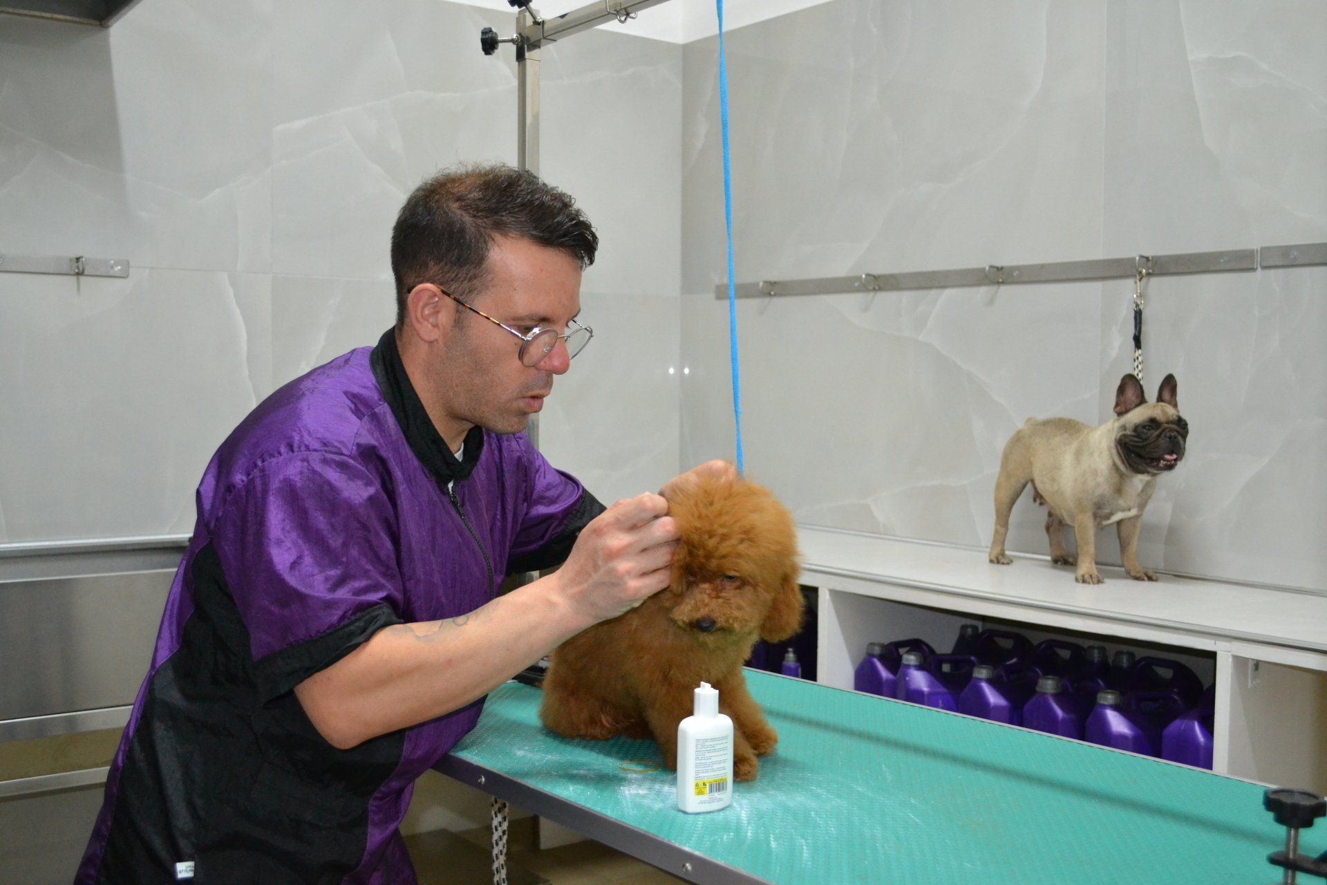 Rosario Cantaro toelettatore